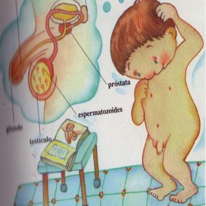 Sexualidad niños